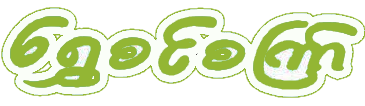 Shwe Sin Setkyar logo